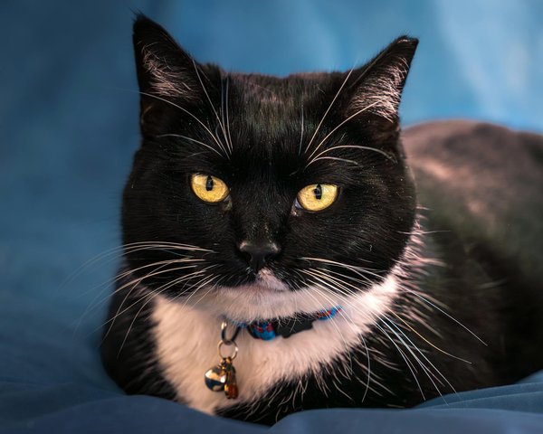 How Can the UK's Sporting Heritage Influence Future Generations?